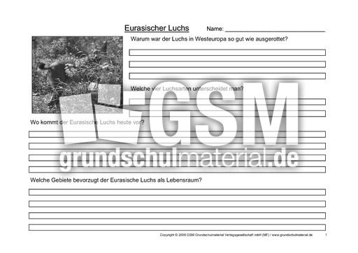 Luchs-Fragen-1.pdf